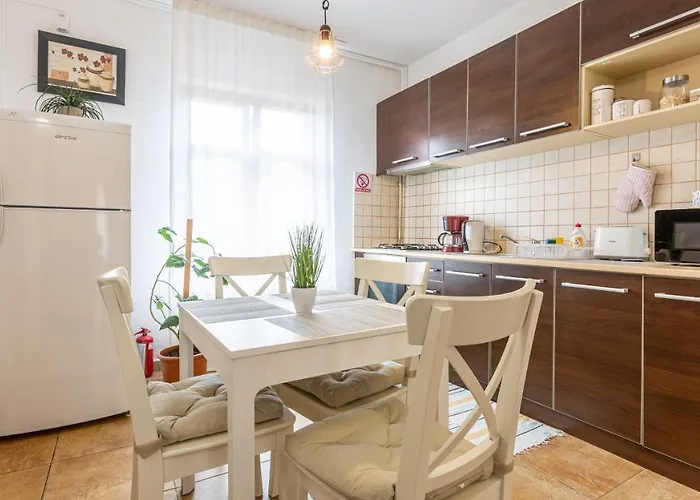 Superb Historical Center Apartment Brasov